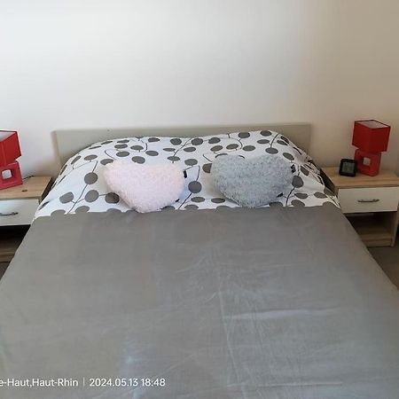 Apartment Einliegerwohnung Hagenthal-le-Haut Экстерьер фото