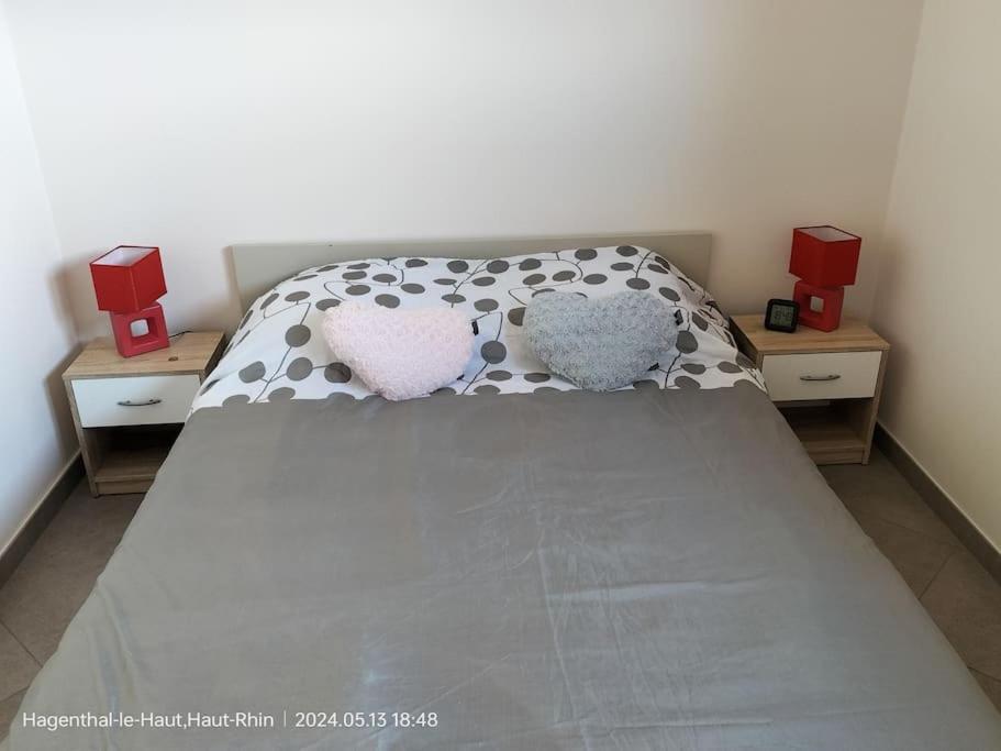 Apartment Einliegerwohnung Hagenthal-le-Haut Экстерьер фото