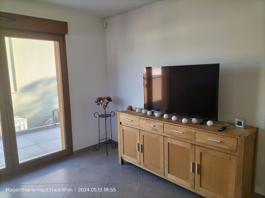 Apartment Einliegerwohnung Hagenthal-le-Haut Экстерьер фото